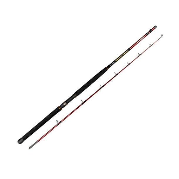 Daiwa Seahunter Spin 6" fod 80-200g 
