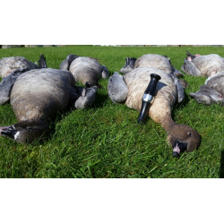 Gs Zink Calls - Pinkfoot Black 605