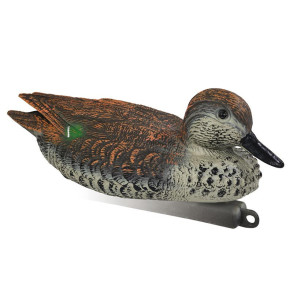 Stepland krikand, Hun