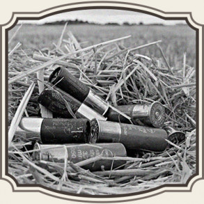 Patroner til flugtskydning