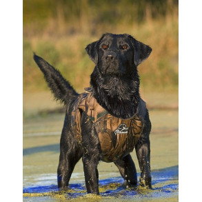 Dokkens Hundevest Neopren